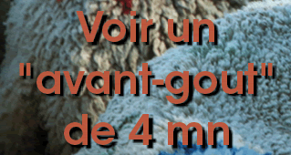 http://www.commeunagneau.com/avant-gout.html